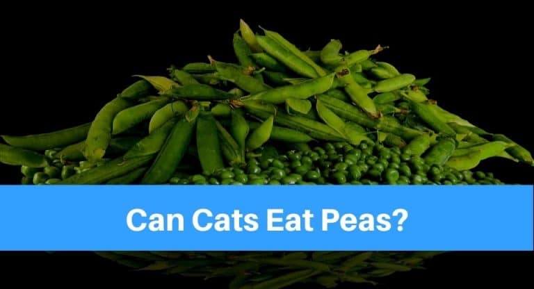 eat-peas