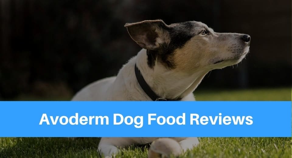 Avoderm-Dog-Food