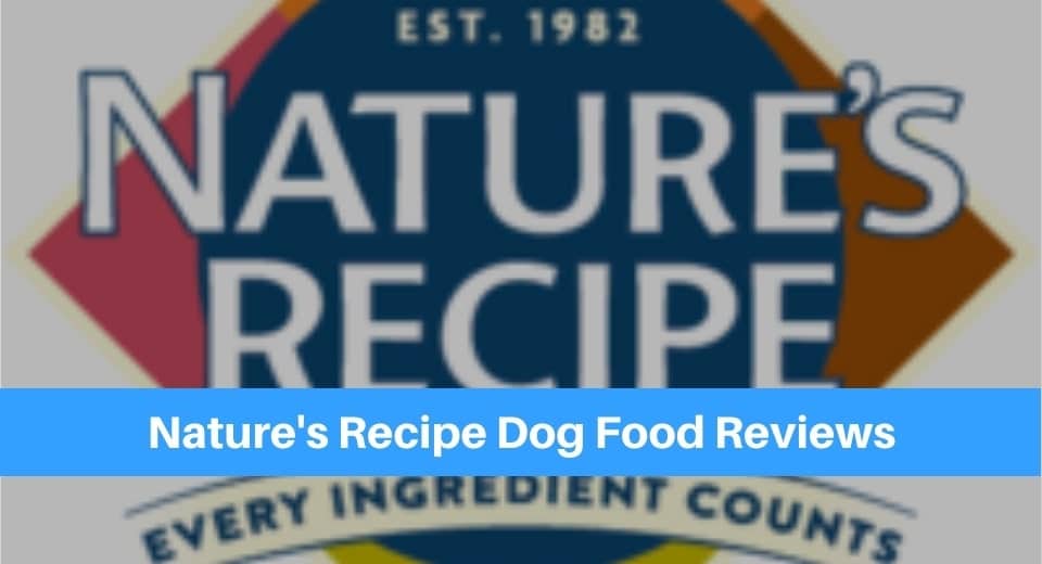 Nature S Recipe Dog Food Reviews 2023