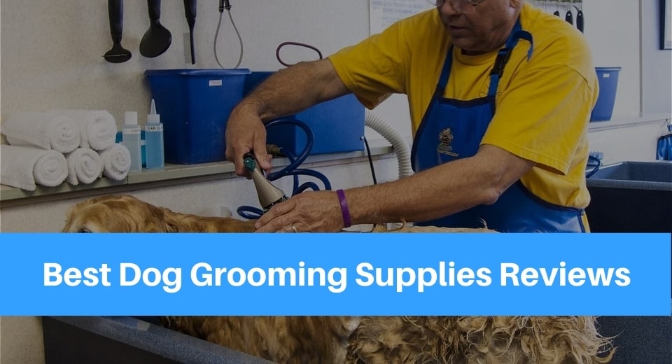 best-dog-grooming-supplies