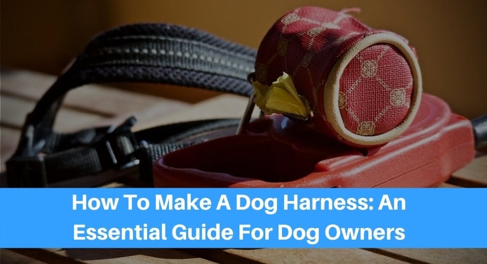 DIY-Your-Dogs-Harness