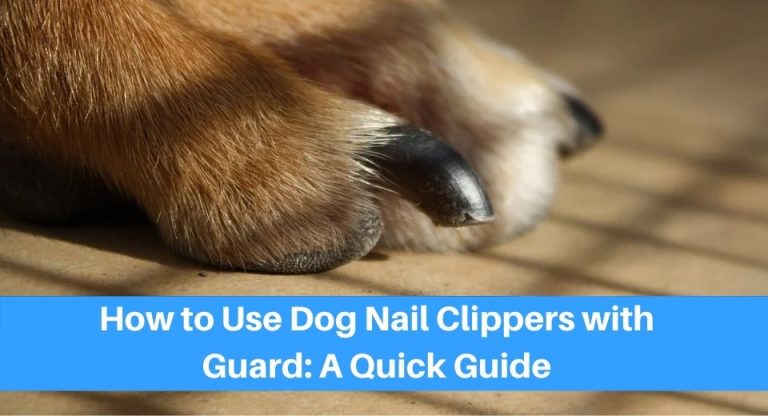 Nail-Clippers-Safely-On-Your-Dog-With-A-Guard