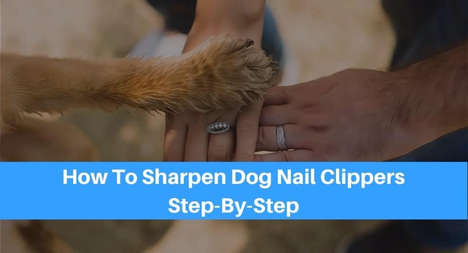sharpening dog nail clippers