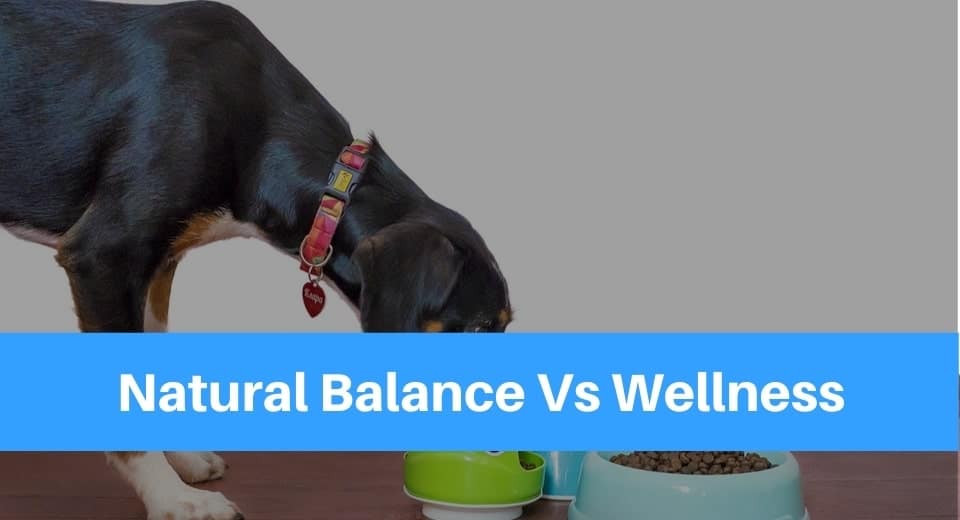 Natural Balance VS Wellness