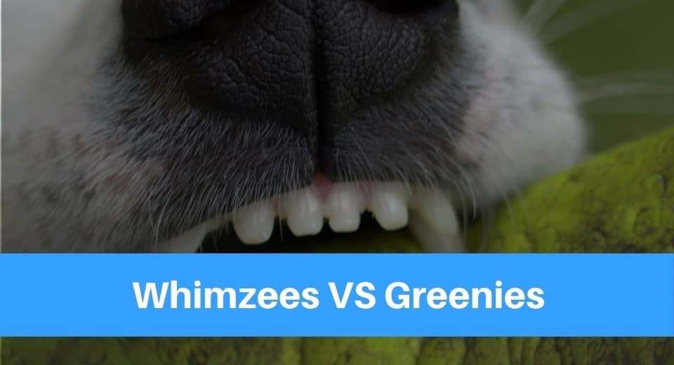 Whimzees VS Greenies