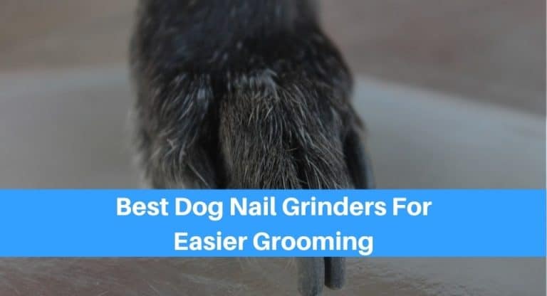 Best Dog Nail Grinders For Easier Grooming
