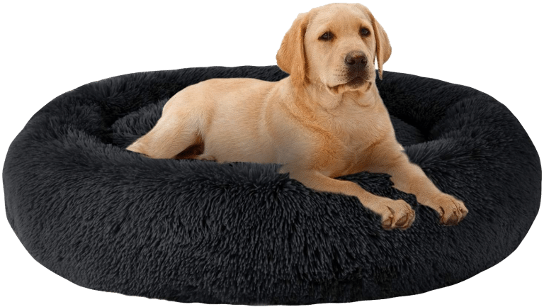 MFOX Calming Dog Bed - remove bg