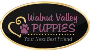 walnut valley puppies