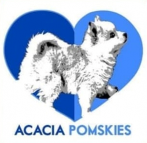 Acacia Pomskies