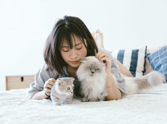 girl playing with pets